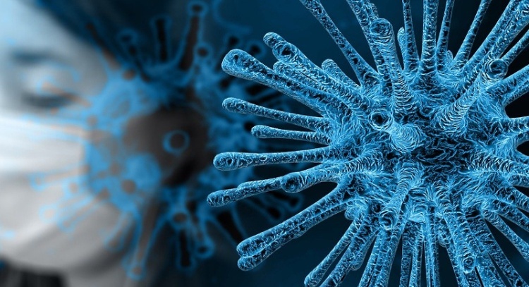Immagine Coronavirus - Modulo di autocertificazione per gli spostamenti